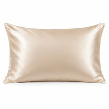 Smoozely silk pillowcase studio view in champagne pearl