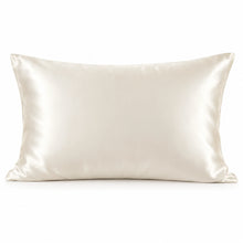 Smoozely silk pillowcase studio view in ivory cloud