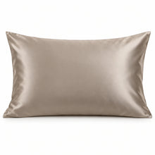 Smoozely silk pillowcase studio view in stone taupe